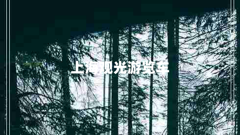 上海觀光游覽車