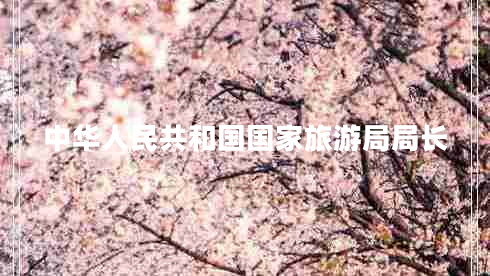 中華人民共和國國家旅游局局長