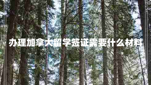 辦理加拿大留學(xué)簽證需要什么材料 辦理加拿大留學(xué)簽證需要什么材料