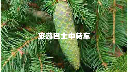 旅游巴士中轉(zhuǎn)車 旅游巴士中轉(zhuǎn)車