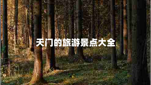 天門的旅游景點大全 天門的旅游景點大全