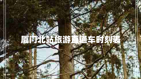 廈門北站旅游直通車時刻表