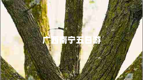 廣西南寧五日游 廣西南寧五日游