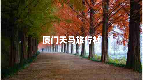 廈門天馬旅行社 廈門天馬旅行社