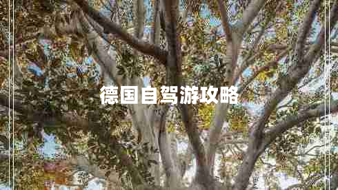 德國自駕游攻略