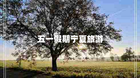 五一假期寧夏旅游