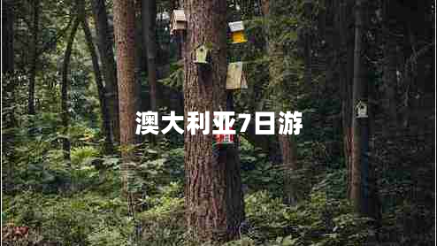 澳大利亞7日游 澳大利亞7日游