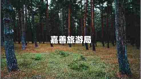 嘉善旅游局 嘉善旅游局