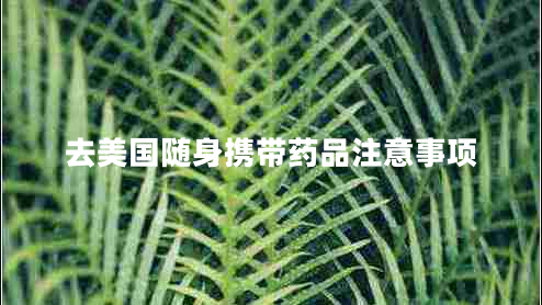 去美國(guó)隨身攜帶藥品注意事項(xiàng)