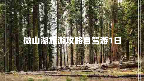 微山湖旅游攻略自駕游1日 微山湖旅游攻略自駕游1日