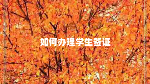 如何辦理學(xué)生簽證 如何辦理學(xué)生簽證