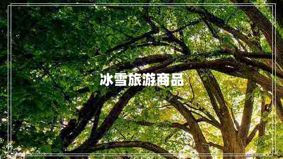 冰雪旅游商品 冰雪旅游商品