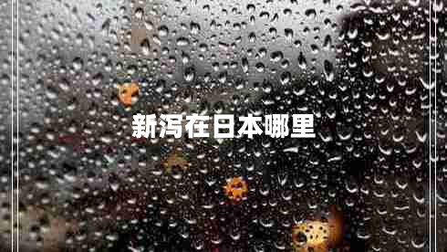 新瀉在日本哪里 新瀉在日本哪里