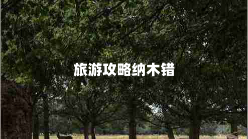 旅游攻略納木錯 旅游攻略納木錯