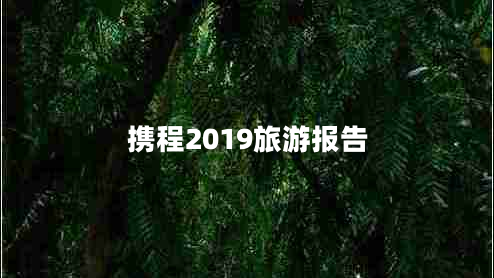 攜程2019旅游報告 攜程2019旅游報告