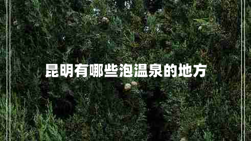 昆明有哪些泡溫泉的地方