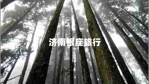 濟(jì)南銀座旅行