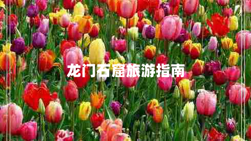 龍門石窟旅游指南 龍門石窟旅游指南