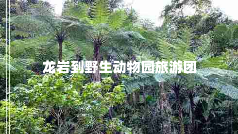 龍巖到野生動物園旅游團(tuán) 龍巖到野生動物園旅游團(tuán)