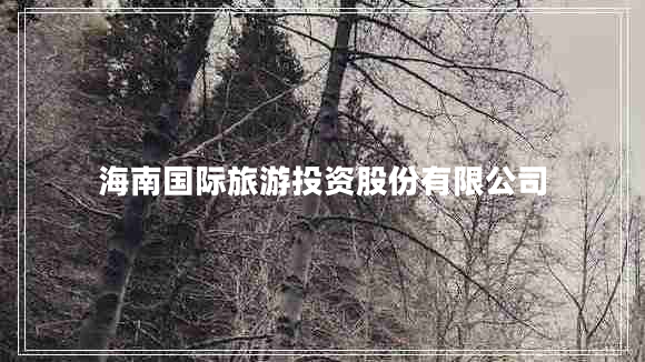 海南國際旅游投資股份有限公司