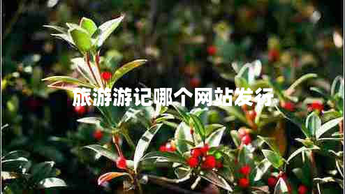 旅游游記哪個(gè)網(wǎng)站發(fā)行 旅游游記哪個(gè)網(wǎng)站發(fā)行