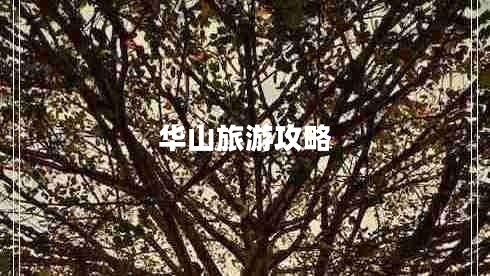 華山旅游攻略 華山旅游攻略