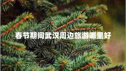 春節(jié)期間武漢周邊旅游哪里好 春節(jié)期間武漢周邊旅游哪里好