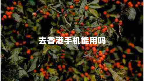 去香港手機能用嗎 去香港手機能用嗎
