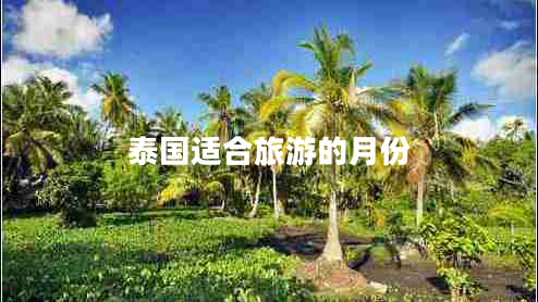 泰國(guó)適合旅游的月份