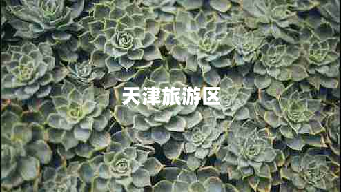 天津旅游區(qū)