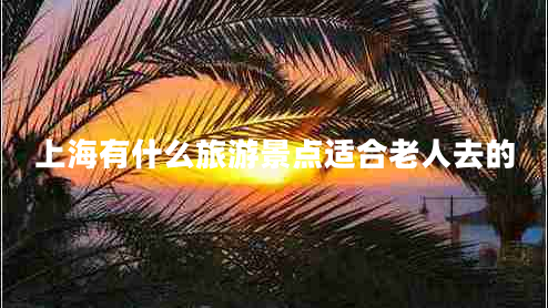 上海有什么旅游景點(diǎn)適合老人去的 上海有什么旅游景點(diǎn)適合老人去的
