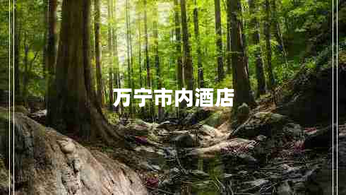 萬寧市內(nèi)酒店 萬寧市內(nèi)酒店