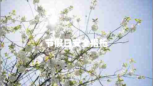 節(jié)假日安全措施 節(jié)假日安全措施