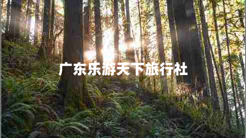 廣東樂游天下旅行社