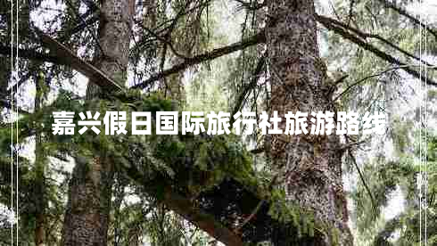 嘉興假日國(guó)際旅行社旅游路線