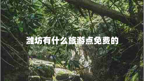 濰坊有什么旅游點免費的 濰坊有什么旅游點免費的