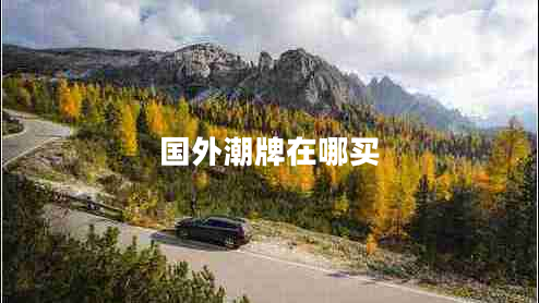 國(guó)外潮牌在哪買