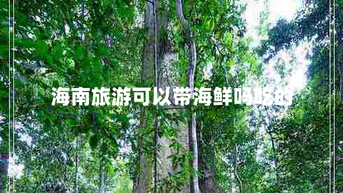 海南旅游可以帶海鮮嗎吃的