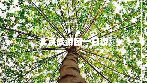 北京旅游團(tuán)一日游