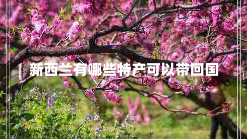 新西蘭有哪些特產(chǎn)可以帶回國 新西蘭有哪些特產(chǎn)可以帶回國