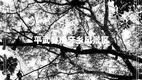 平武縣虎牙鄉(xiāng)風(fēng)景區(qū)