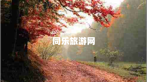 同樂旅游網(wǎng) 同樂旅游網(wǎng)