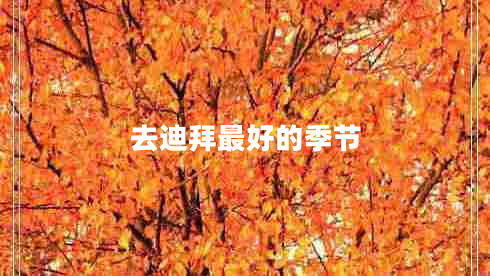 去迪拜最好的季節(jié)