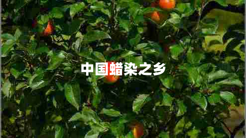 中國蠟染之鄉(xiāng)