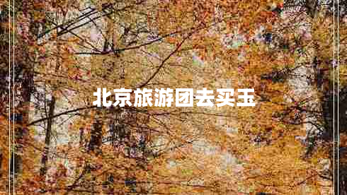 北京旅游團去買玉 北京旅游團去買玉