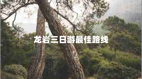 龍巖三日游最佳路線 龍巖三日游最佳路線
