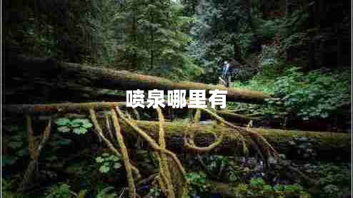 噴泉哪里有 噴泉哪里有