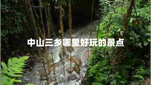 中山三鄉(xiāng)哪里好玩的景點(diǎn)