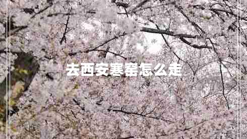 去西安寒窯怎么走