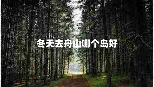 冬天去舟山哪個島好
